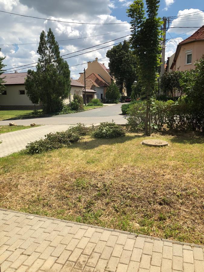 Family Residence Eger Bagian luar foto
